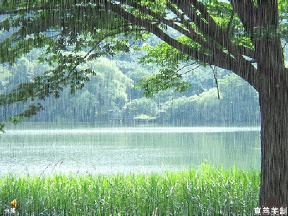 《雨点》详细的课件_第1页