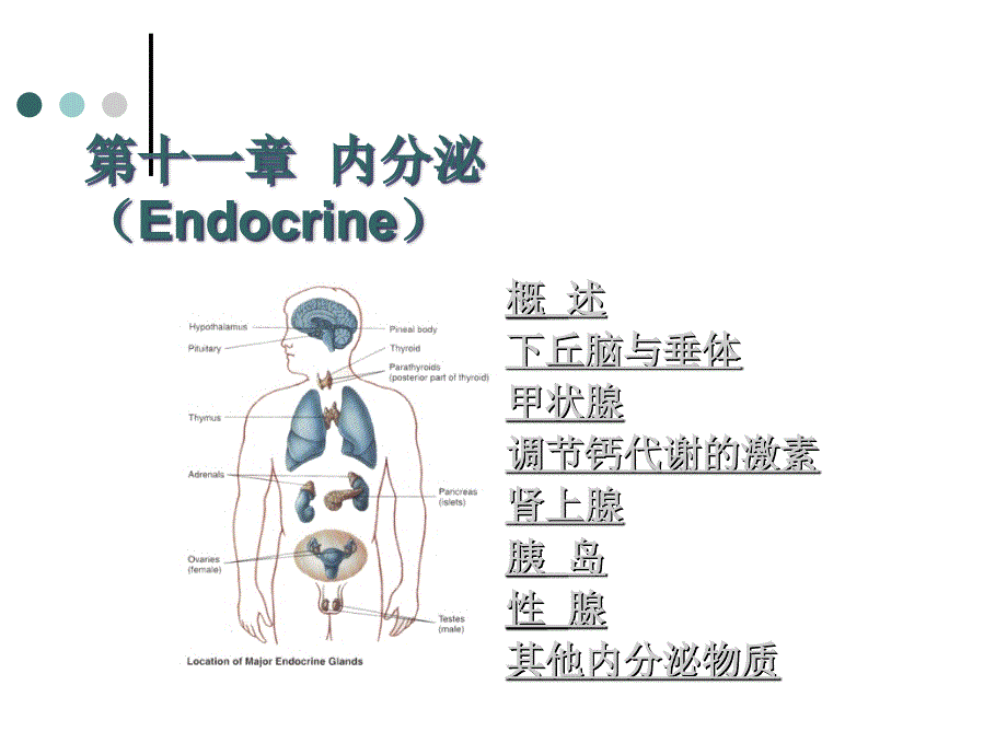 《内分泌E》PPT课件_第1页