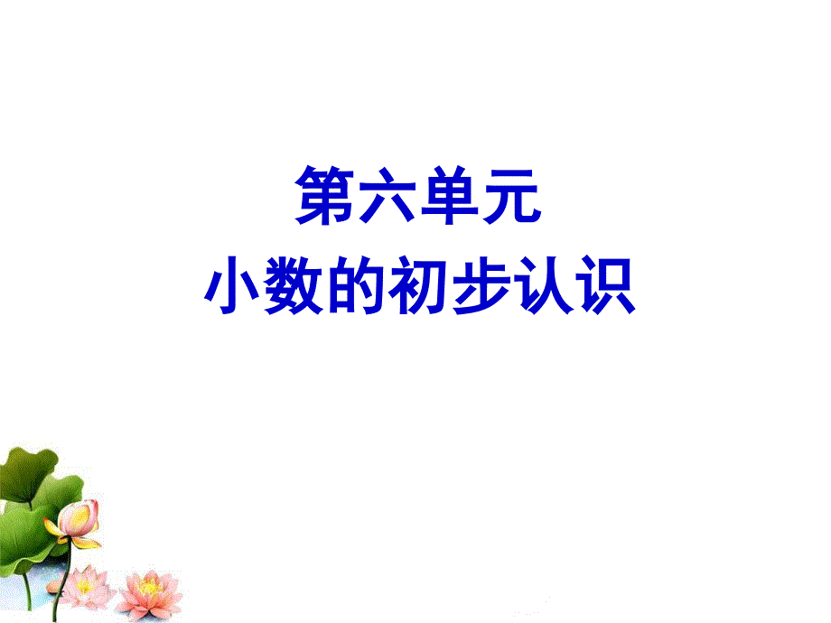 《小数的初步认识》复习课课件_第1页