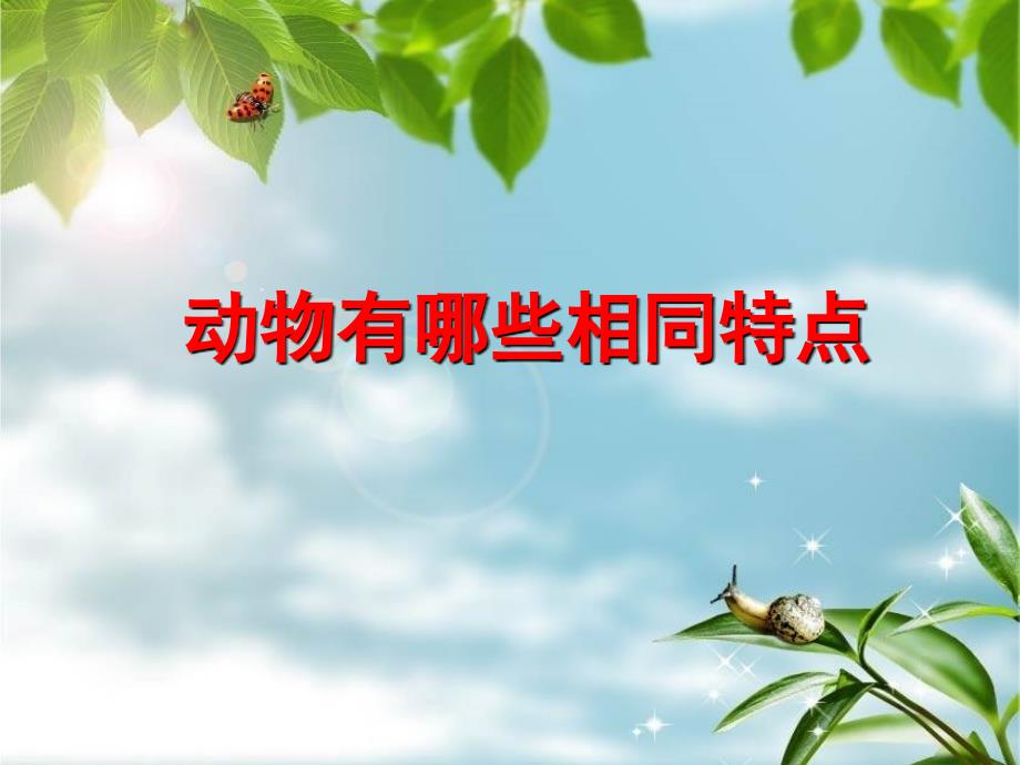 动物有哪些相同特点_第1页