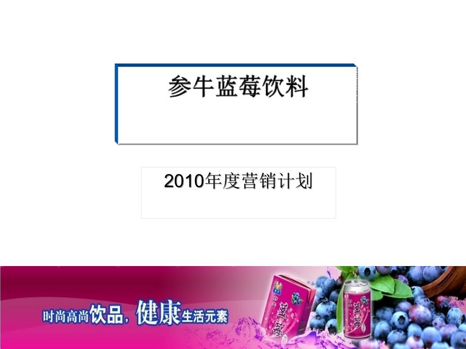 某蓝莓饮料年度营销计划研讨课件_第1页