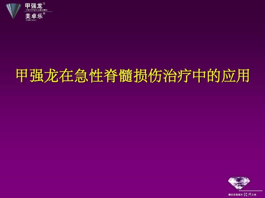 脊髓损伤激素的使用PIM幻灯课件_第1页