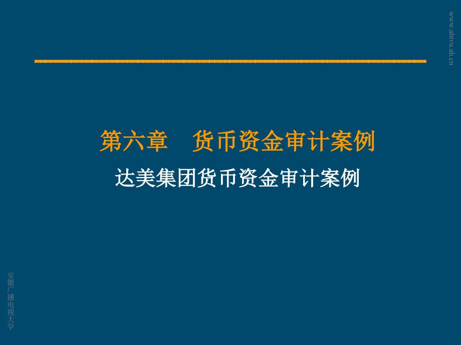 货币资金审计案例达美集团货币资金审计案例_第1页