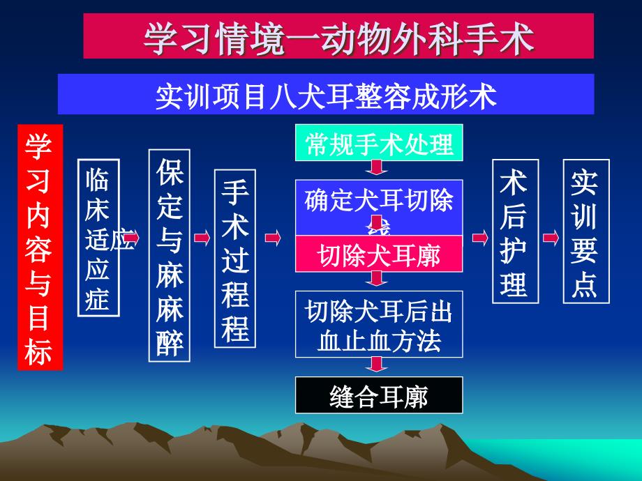 实训项目任务九犬耳整容成形术_第1页