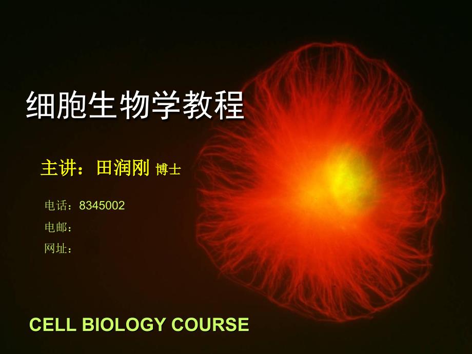 细胞生物学教程_第1页