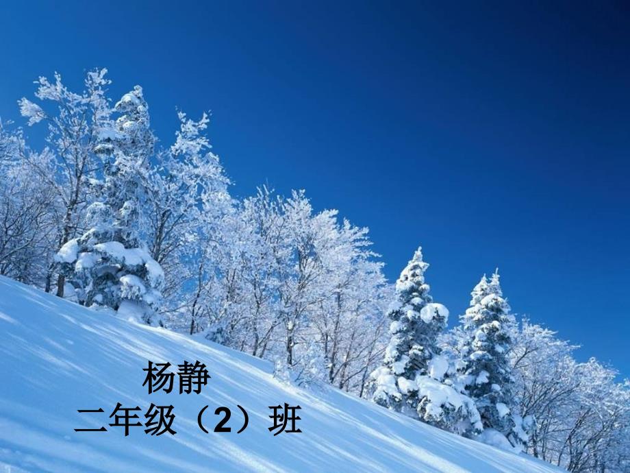 12看雪--杨静静_第1页