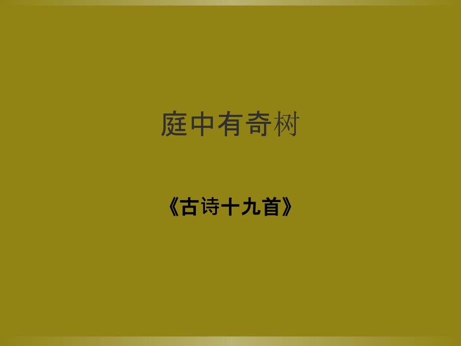 《庭中有奇树》ppt_第1页