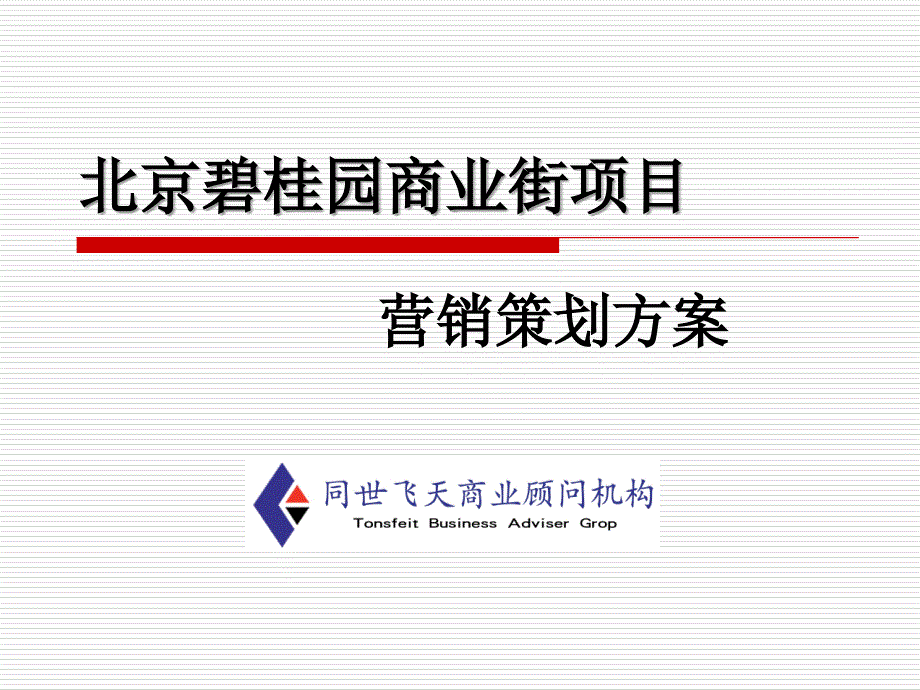 商业街项目营销策划方案_第1页