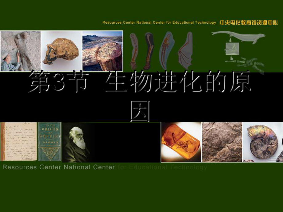 八年級生物下冊 第7單元 生命的延續(xù)與進化 第23章 第3節(jié)《生物進化的原因》2 （新版）蘇科版_第1頁