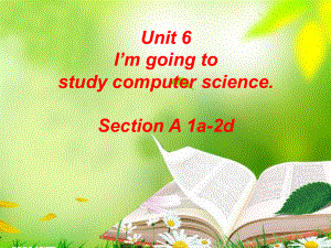 八年級英語上冊 Unit 6 I’m going to study computer science（第2課時）Section A（1a-2d） （新版）人教新目標版