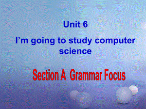 八年級英語上冊 Unit 6 I’m going to study computer science（第3課時）Section A（Grammar Focus-3c） （新版）人教新目標(biāo)版