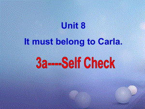 九年級英語全冊 Unit 8 It must belong to Carla（第6課時(shí)）Section B（3a-Self check） （新版）人教新目標(biāo)版