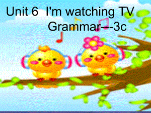 七年級(jí)英語(yǔ)下冊(cè) Unit 6 I’m watching TV（第3課時(shí)）Section A（Grammar Foucs-3c） （新版）人教新目標(biāo)版