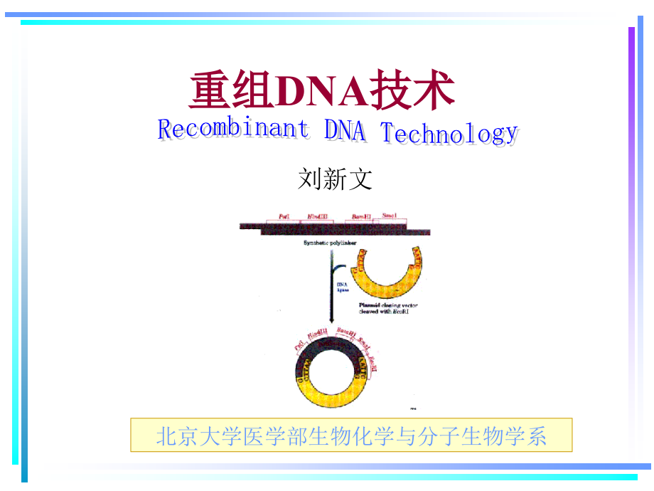 北大基礎(chǔ)醫(yī)學(xué)生物化學(xué)課件 重組DNA技術(shù)_第1頁