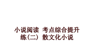 小說閱讀 考點(diǎn)綜合提升練(二) 散文化小說