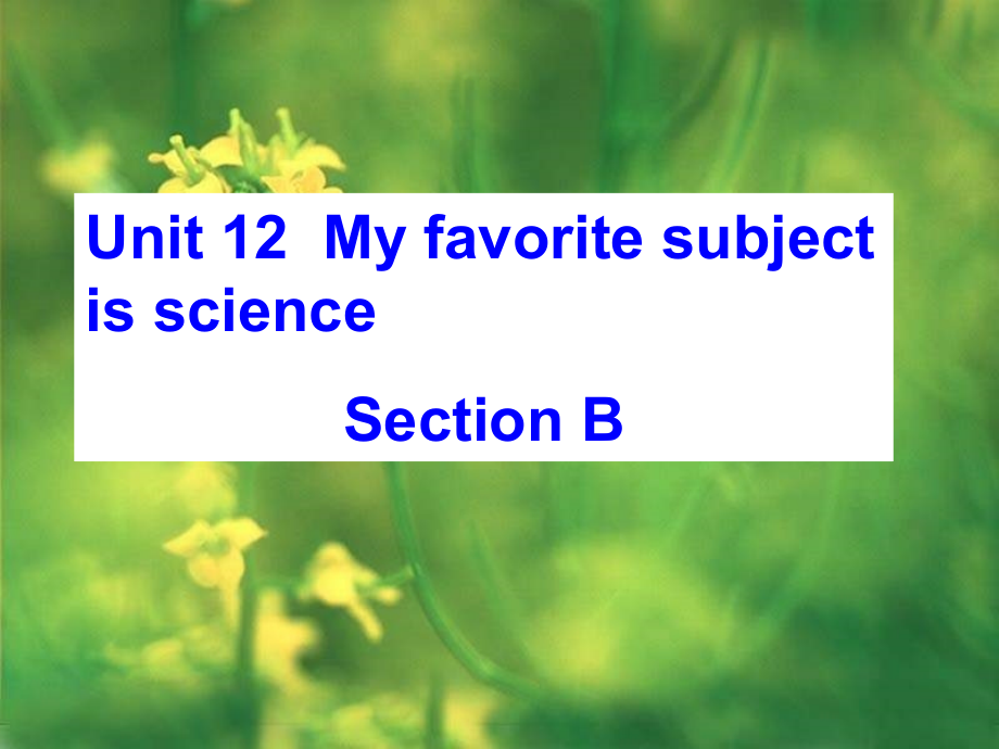 新目标英语七年级课件Unit12_My_favorite_subject_is_science_section_B_第1页