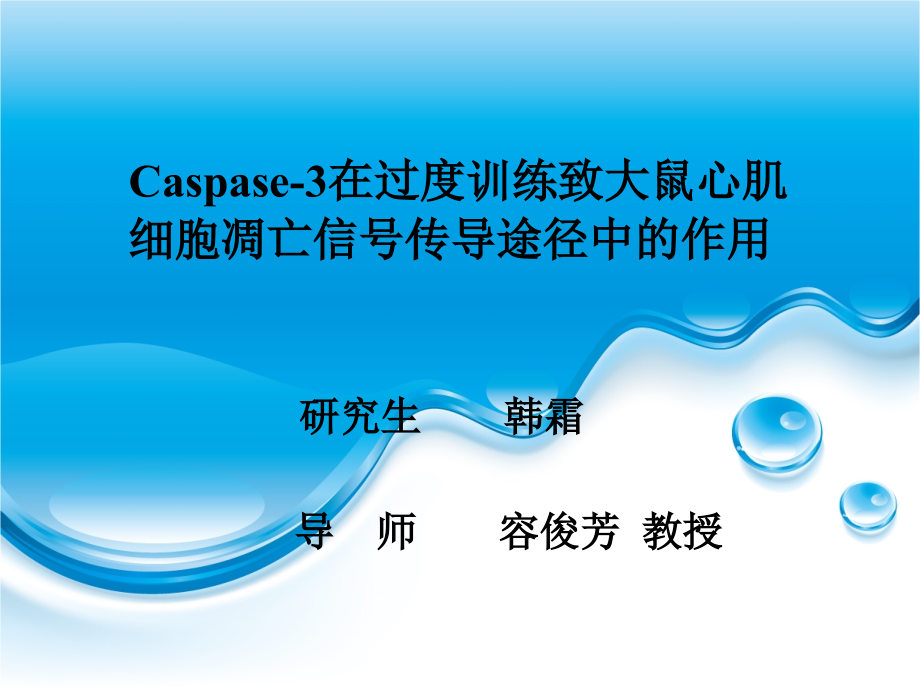 Caspase-3在过度训练至大鼠心肌细胞凋亡信号传导途径中的作用_第1页