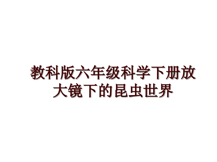 教科版六年级科学下册放大镜下的昆虫世界_第1页