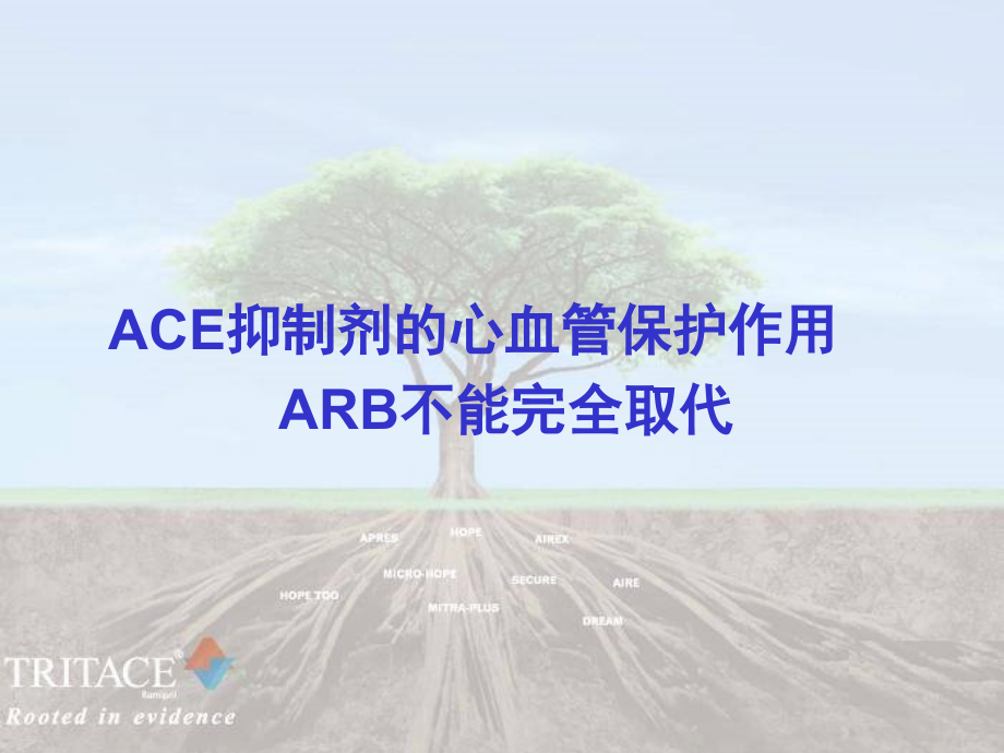 ACE抑制剂的心血管保护作用-ARB不能完全替代_第1页