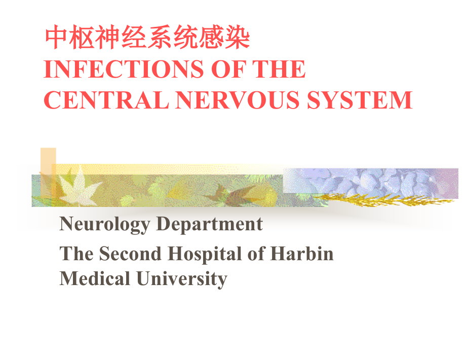 INFECTIONS+OF+THE+CENTRAL+NERVOUS+SYSTEM+_第1页