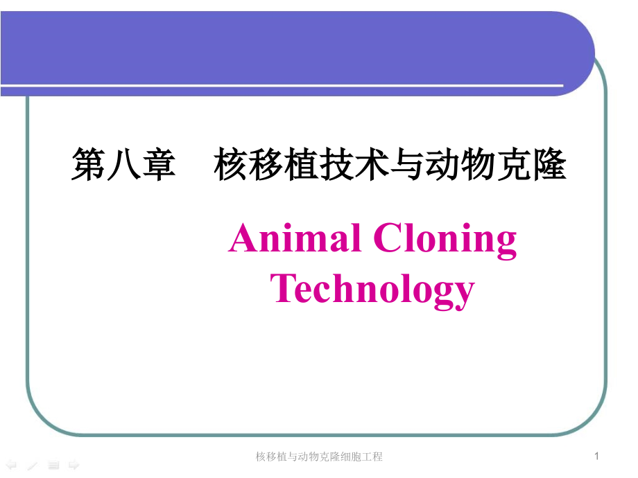 核移植与动物克隆细胞工程课件_第1页