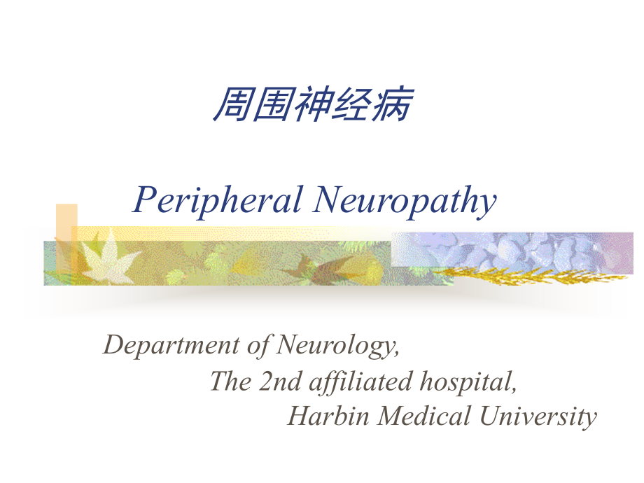 Peripheral Neuropathy_第1页