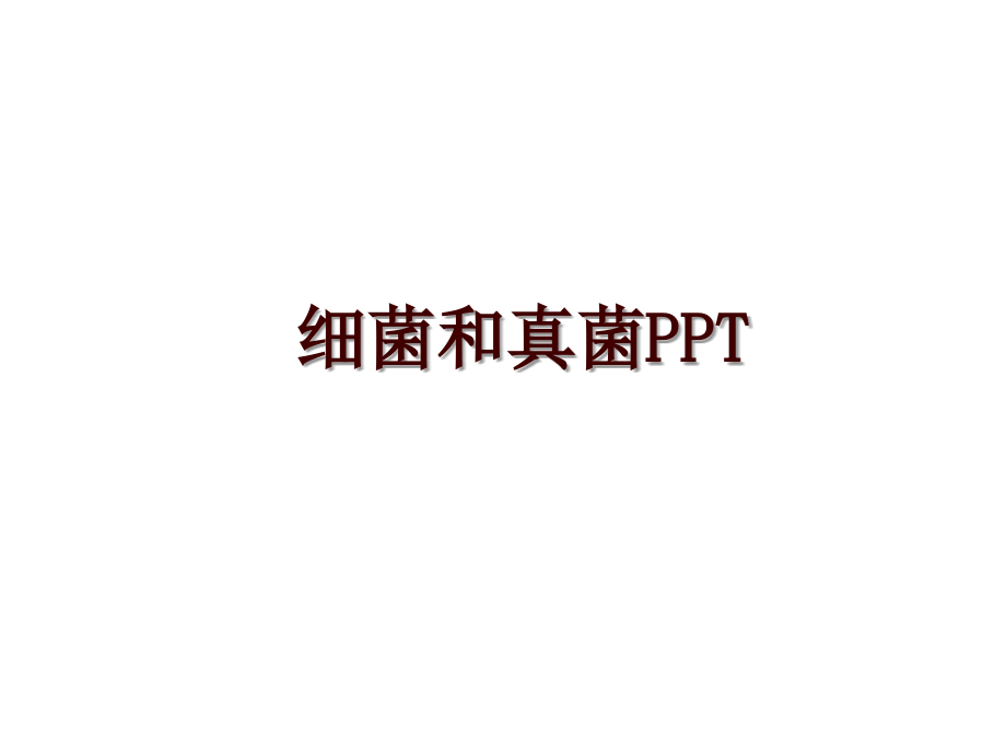 细菌和真菌PPT_第1页