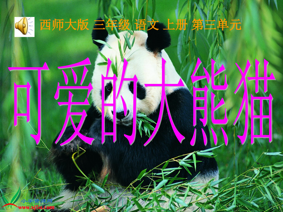 11、《可爱的大熊猫》第二课时_第1页
