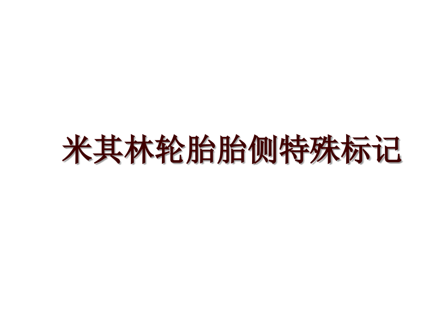 米其林轮胎胎侧特殊标记_第1页