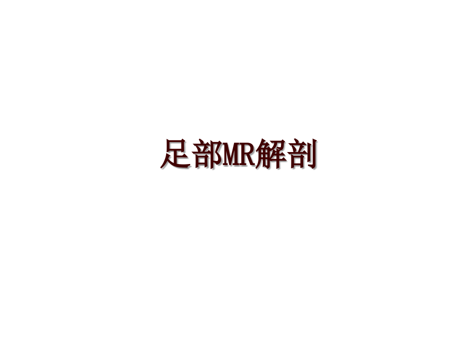 足部MR解剖_第1页