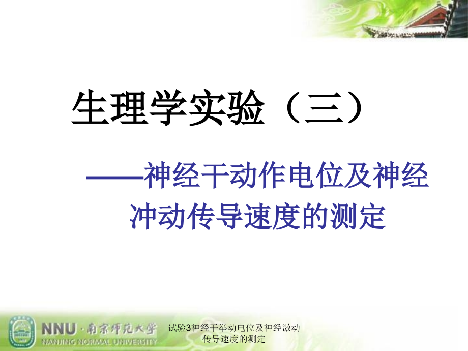 试验3神经干举动电位及神经激动传导速度的测定课件_第1页