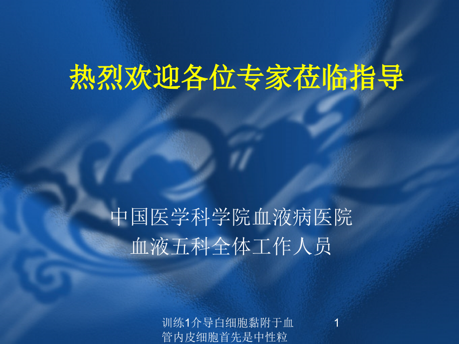 训练1介导白细胞黏附于血管内皮细胞首先是中性粒细胞随后是单核课件_第1页