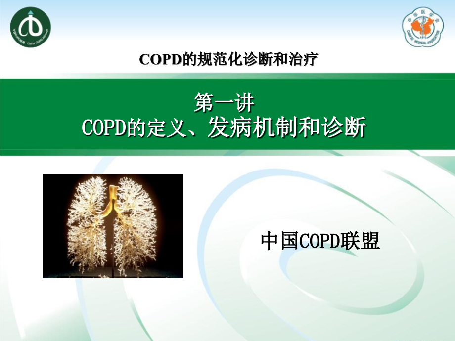 COPD定义和诊断_第1页