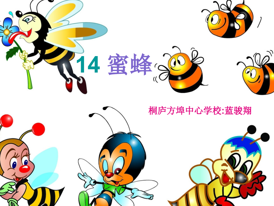 蜜蜂(人教版三上课件）_第1页