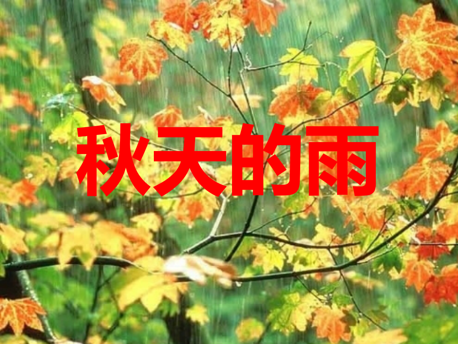 秋天的雨课件_第1页