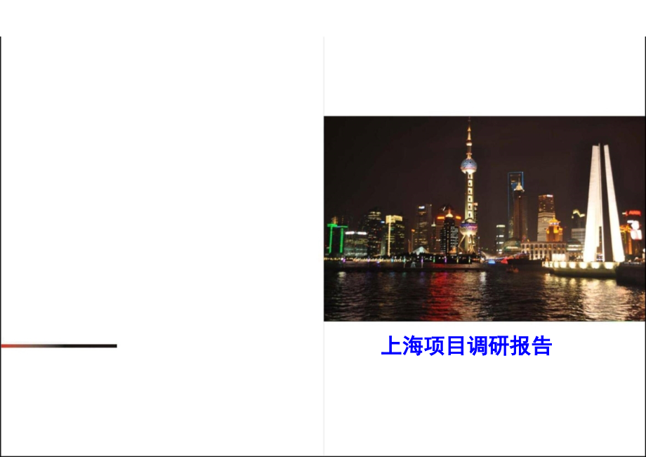 上海综合体项目市场调研分析报告_第1页