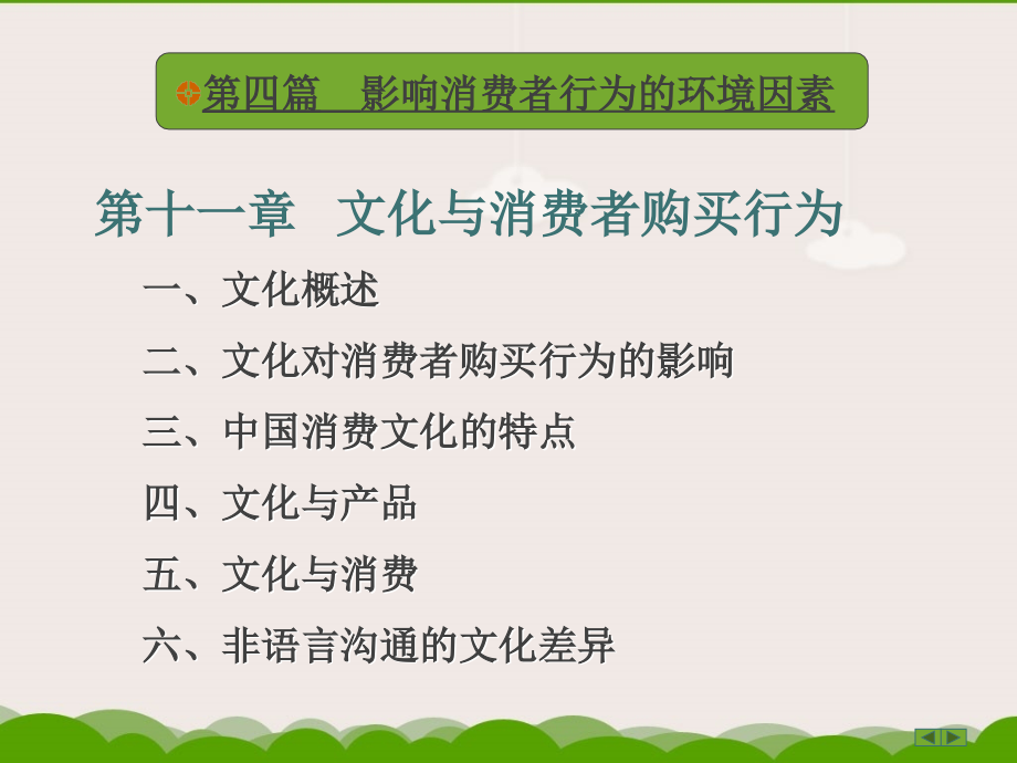 《消费者行为学》第十一章_文化与消费者购买行为_第1页