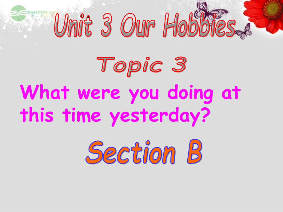 八年级英语上册 unit 3 our hobbies topic 3 what were you doing at this time yesterday section b课件 仁爱版_第1页