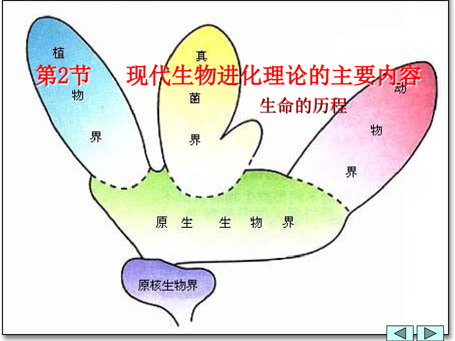 72现代生物进化理论的主要内容_第1页