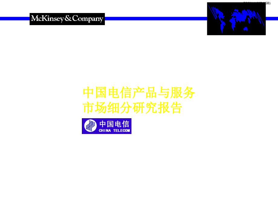 中国电信产品与市场细分研究报告_第1页