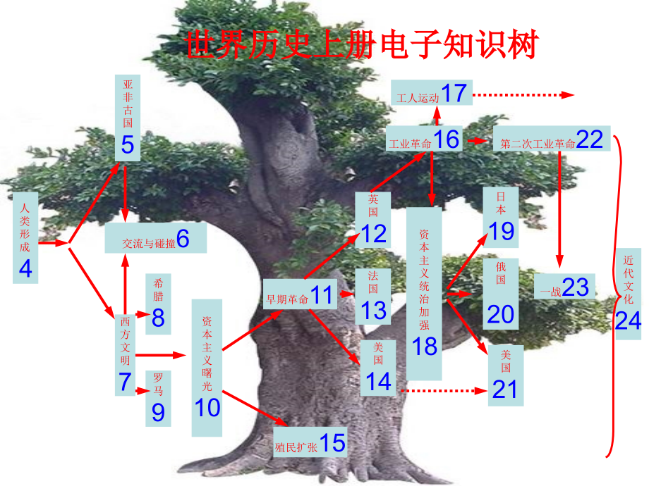 九年级上册知识框架图_第1页