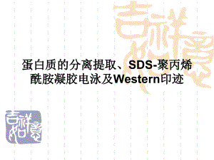 綜合性實驗 蛋白質(zhì)的分離提取、sds聚丙烯酰胺凝膠電泳及westen印跡