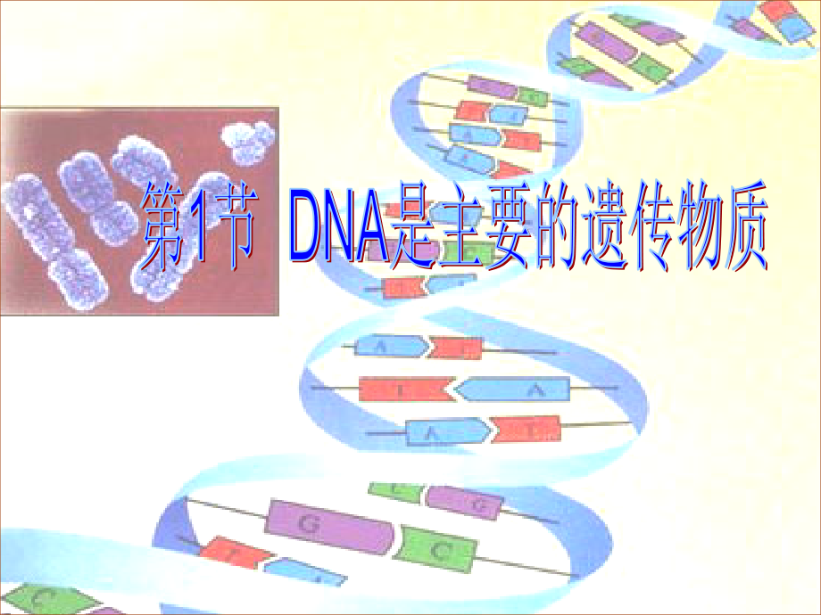 人教必修二第3章基因的本质第1节DNA是主要的遗传物质_第1页