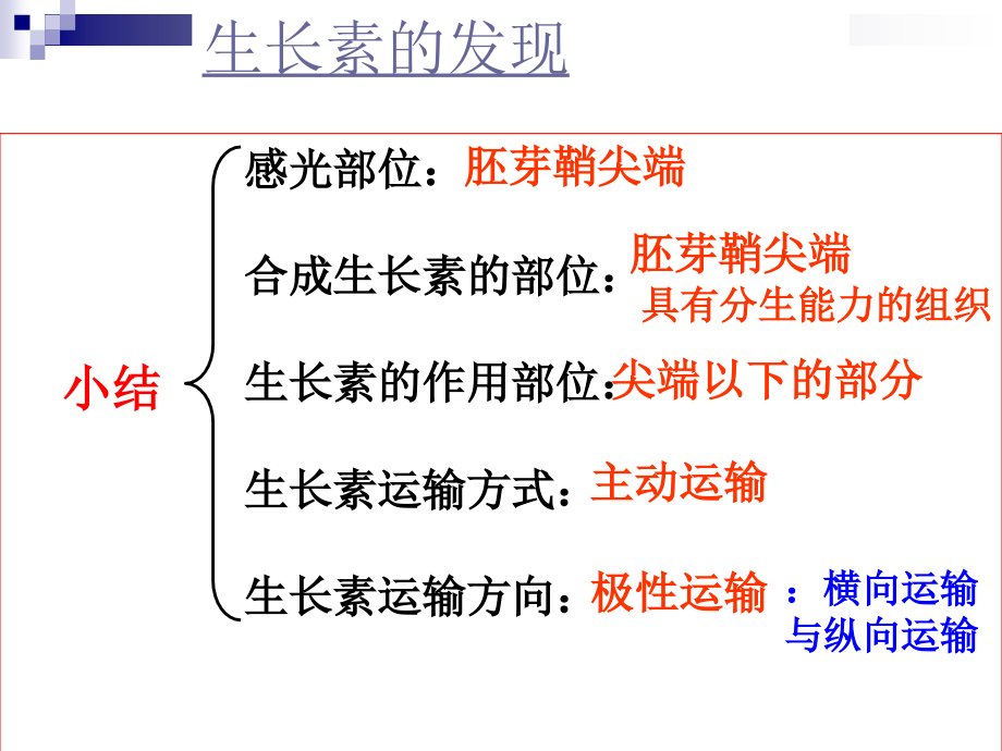 生长素的生理作用_第1页