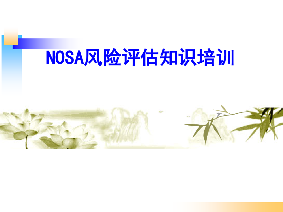NOSA风险评估_第1页