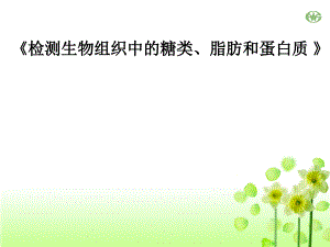 《檢測生物組織中的糖類、脂肪和蛋白質(zhì) 》說課