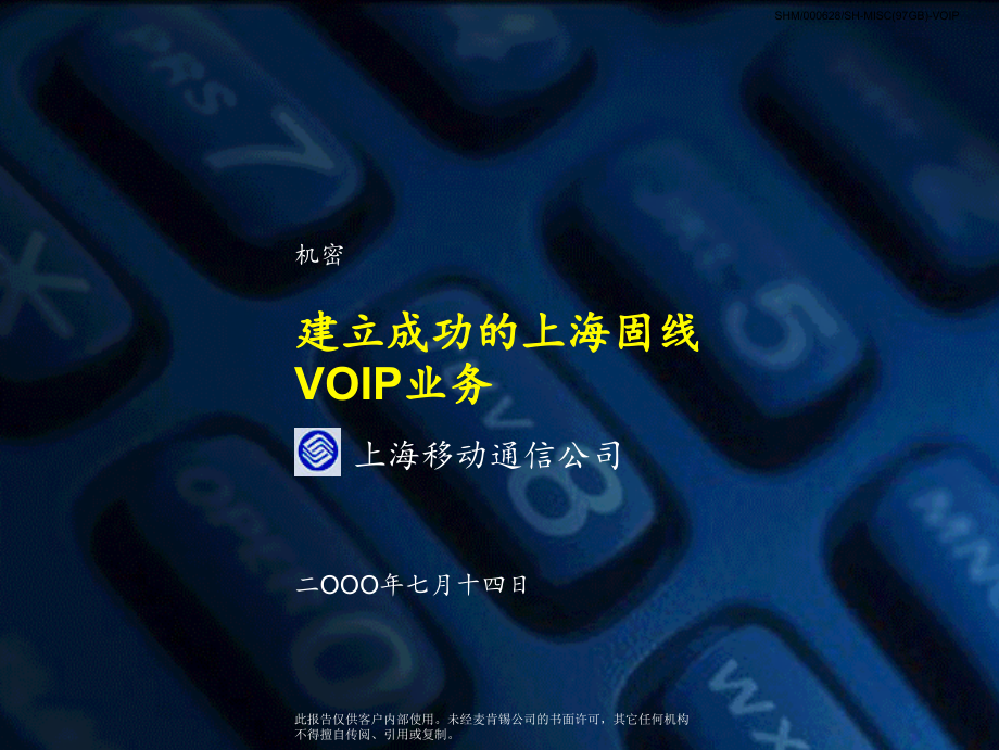 建立成功的上海固线VOIP业务_第1页