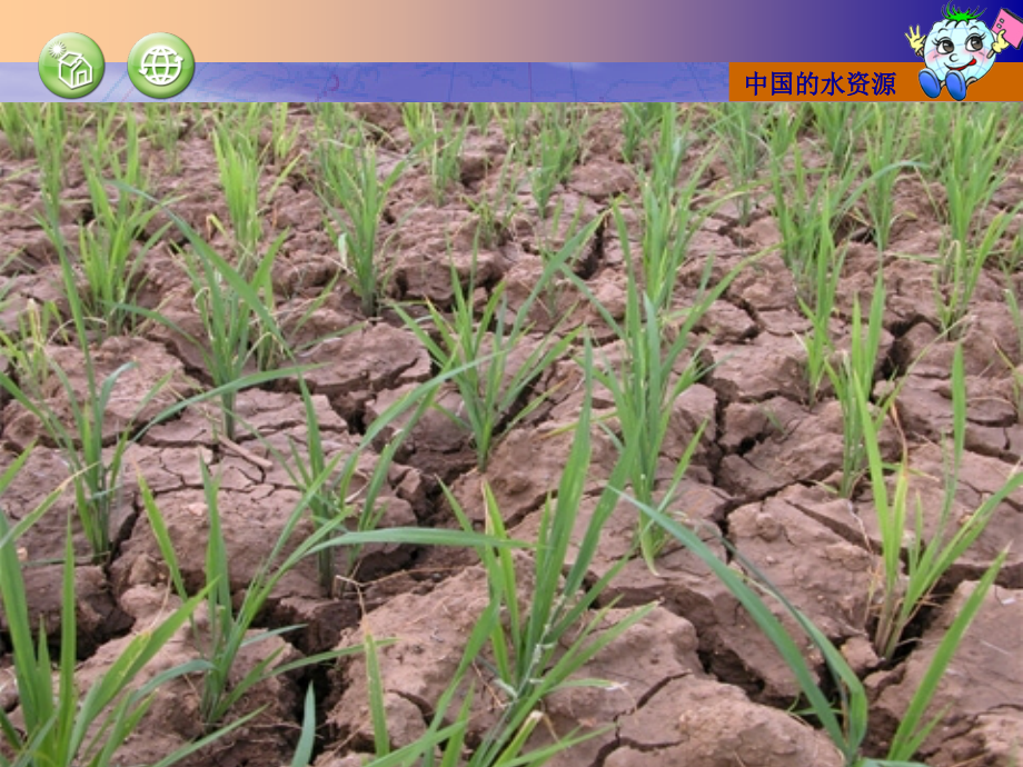 初中二年级地理上册第三章中国的自然资源第三节水资源课件_第1页