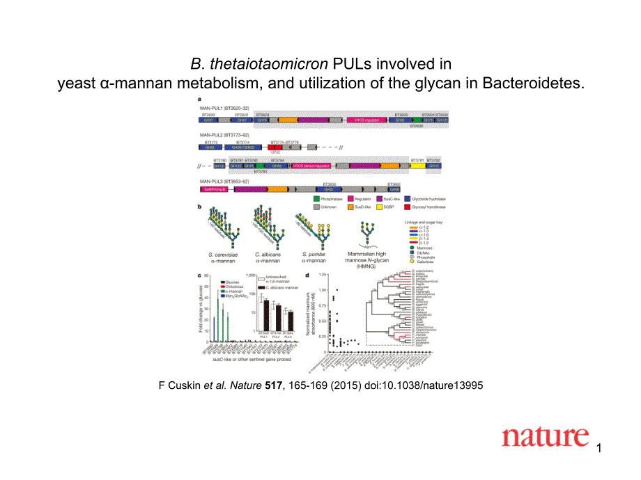 FCuskinetal.Nature517,165-169(2015)doi10.1038nature_第1页