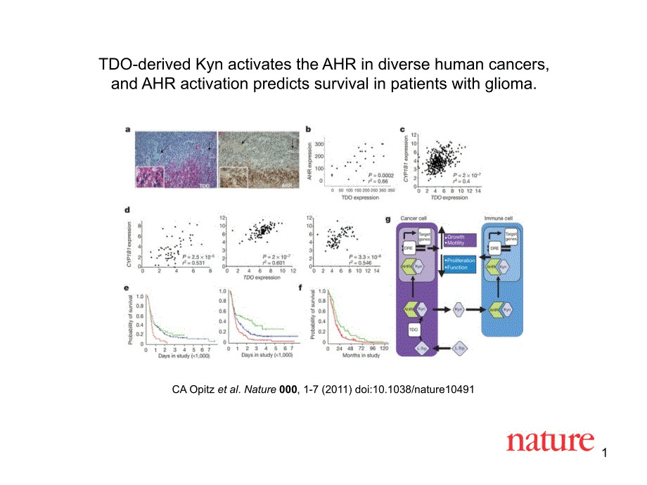 CAOpitzetal.Nature000,1-7(2011)doi10.1038nature10491_第1页